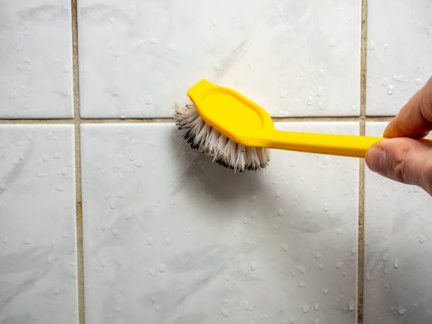 Best Same-Day Mold Removal  in Eastwood, MI